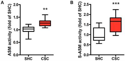 Chronic Psychosocial Stress in Mice Is Associated With Increased Acid Sphingomyelinase Activity in Liver and Serum and With Hepatic C16:0-Ceramide Accumulation